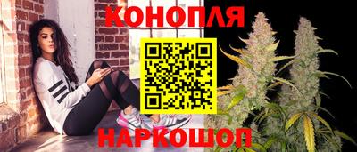 дживик Аша