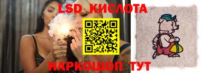 дживик Аша
