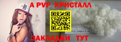 спайс Ачхой-Мартан