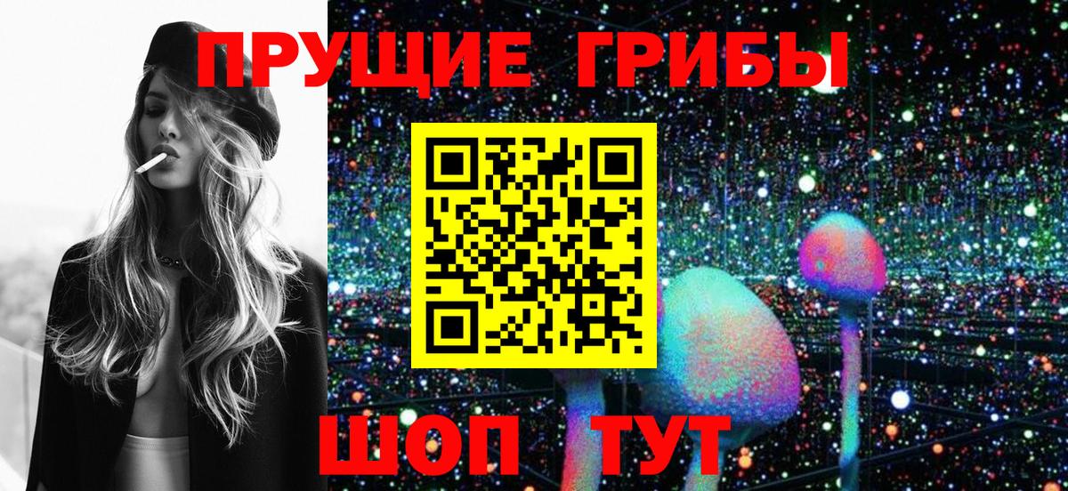 Псилоцибиновые грибы Magic Shrooms Дербент