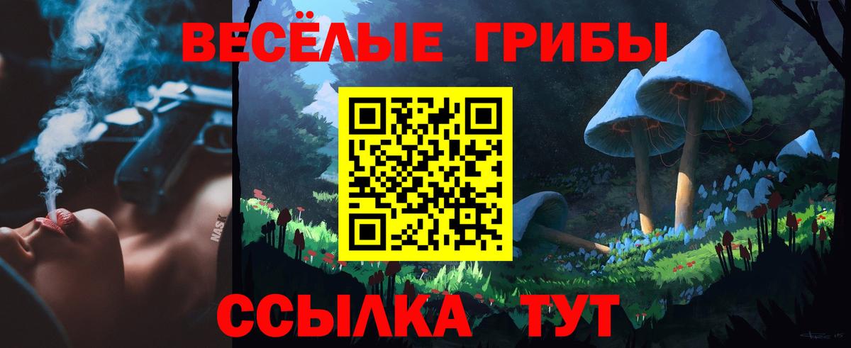 Галлюциногенные грибы мухоморы  Галлюциногенные грибы Psilocybe  Вход с VPN  Дербент 